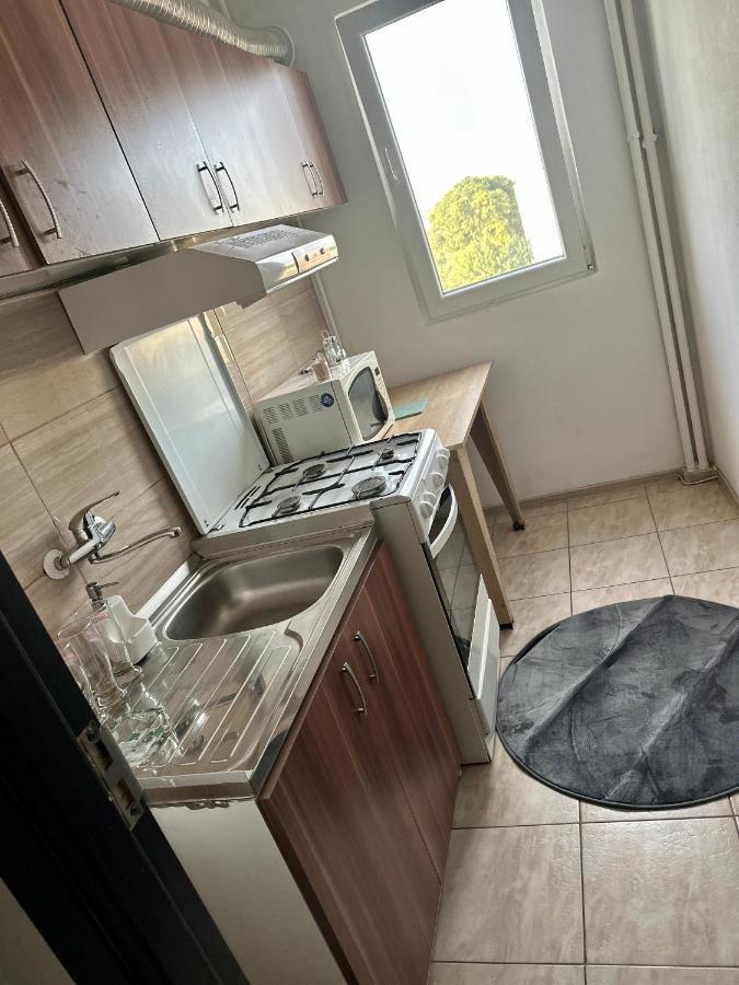 Apartament 2 Camere Giurgiului ブカレスト エクステリア 写真